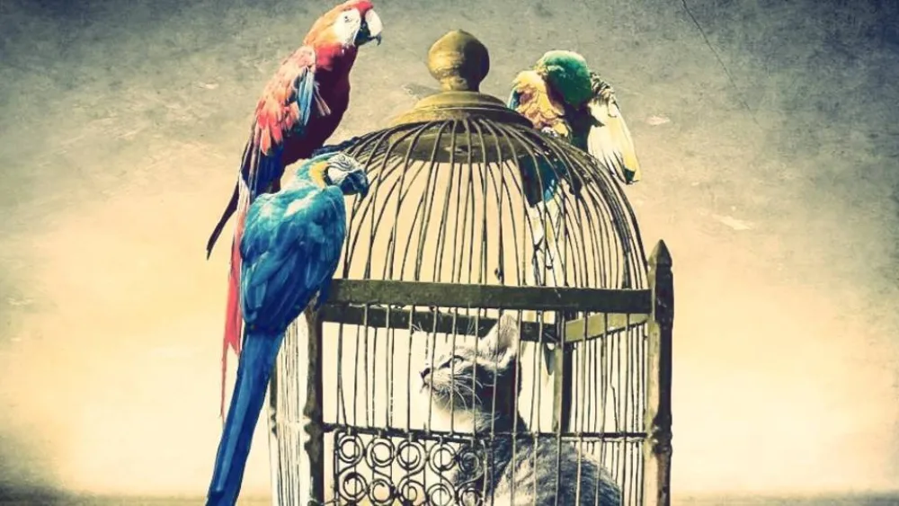 Όχι άλλο υπαλληλίκι