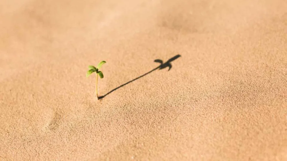 Είναι τα Αδύνατα Δυνατά;