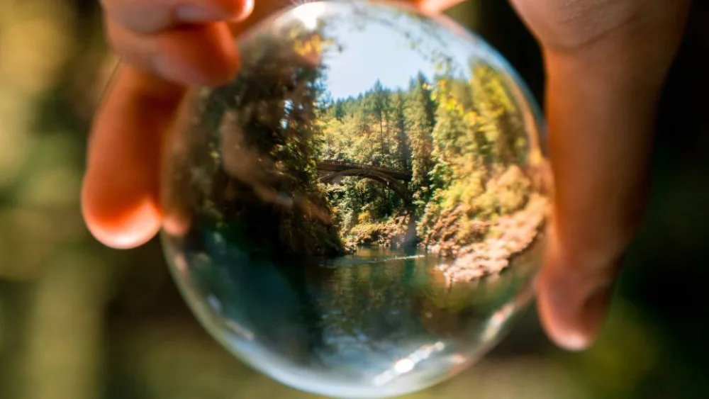 Νόμοι της φυσικής που μοιάζουν με ανθρώπινες συμπεριφορές