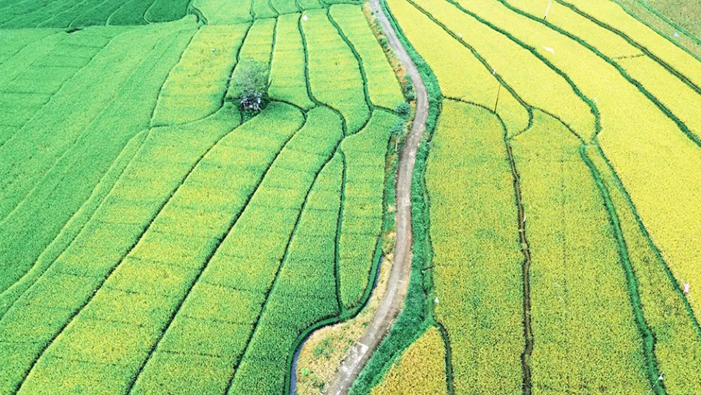 Agribusiness is good. Εταιρείες που πρωτοστατούν στα οργανικά και βιολογικά λιπάσματα