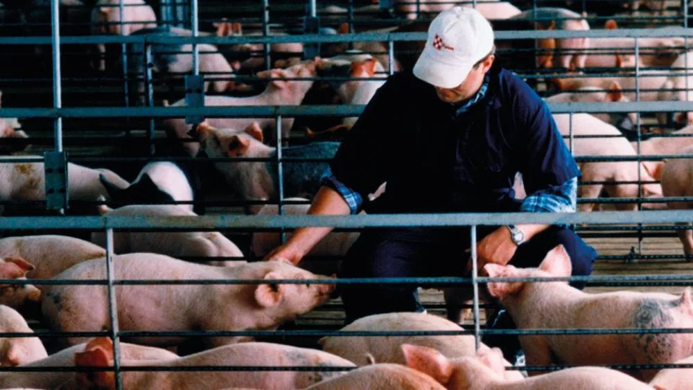 Παρούσα η Ελλάδα στην εκστρατεία ευαισθητοποίησης για την Αφρικανική Πανώλη των Χοίρων