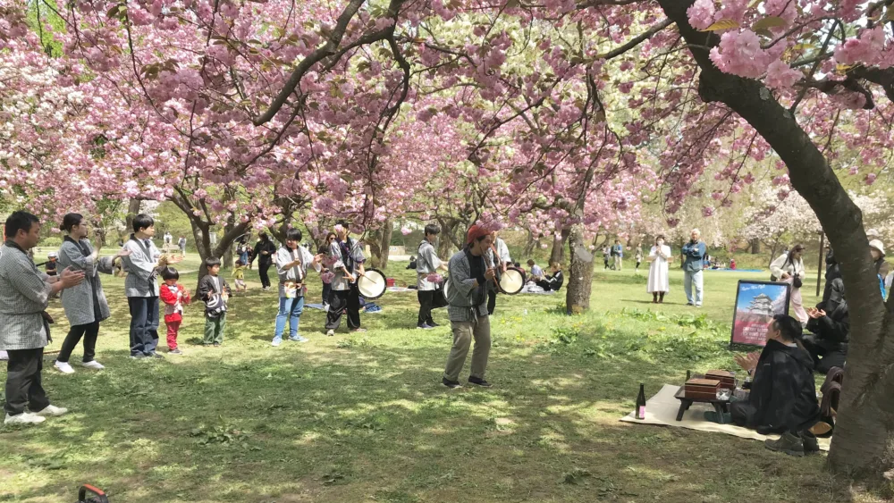 Η παράξενη αντίφαση της Ιαπωνίας στη σχέση με το Φυσικό Περιβάλλον