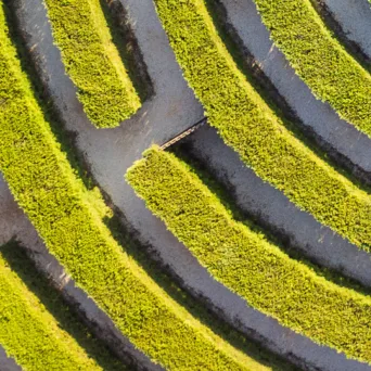 Το νέο ταξίδι του Β2Β αγοραστή: Ένας οδηγός για τις Πωλήσεις [Μέρος 1ο]