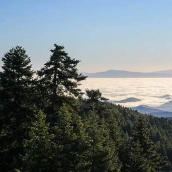 Όταν η επιχειρηματικότητα ταυτίζεται με τη φύση