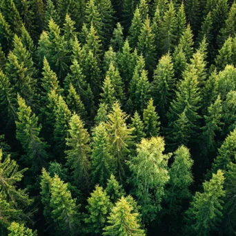 Μην μπερδεύουμε ΕΚΕ με Βιώσιμη Ανάπτυξη