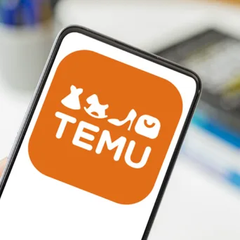 Το μοντέλο Loss Leader και η Temu