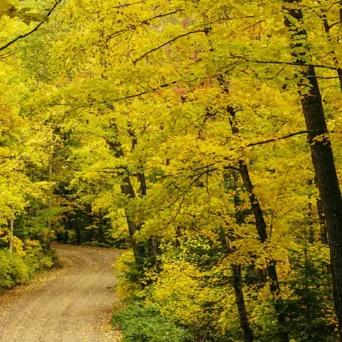 Προς μια οικονομία χαμηλών ρύπων...