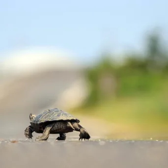 Μεγάλες καθυστερήσεις στην επεξεργασία των αιτήσεων των δύο νέων δράσεων ΕΣΠΑ
