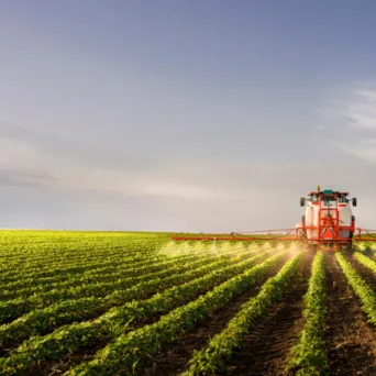 To «κανόνια ή βούτυρο» είναι το επόμενο δίλημμα της επιχειρηματικότητας