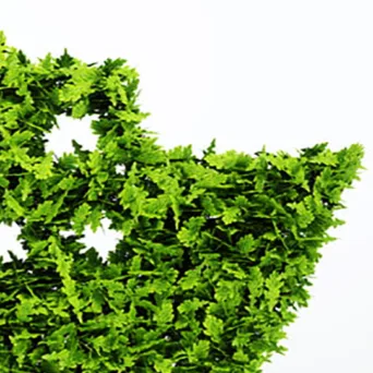 Ταξιδεύοντας με πλοηγό τη βιωσιμότητα