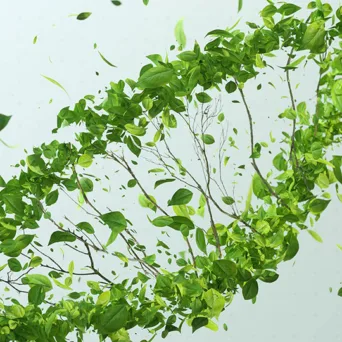 ESG: Από τη συμμόρφωση στη στρατηγική αξία