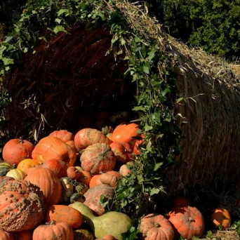 Η αφθονία ως στρατηγική στάση ζωής – και όχι μόνο στόχος