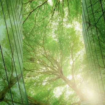 ESG και Βιοποικιλότητα: Μπορούν οι εταιρείες να βοηθήσουν τη φύση;