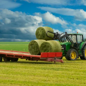 Ελαφρά άνοδος στις τιμές εκροών στη Γεωργία – Κτηνοτροφία, ήπιες αυξήσεις και στις εισροές