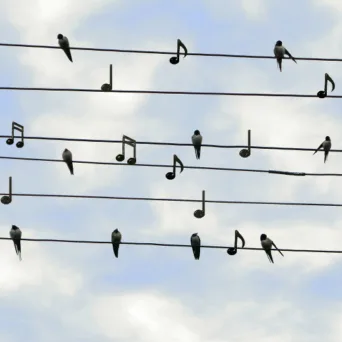 Ξεκίνησε η «σκούπα» στο Twitter, καταργεί εκατομμύρια λογαριασμούς