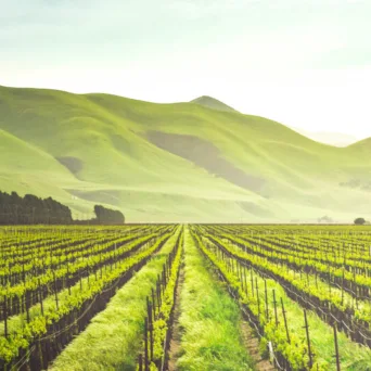 Καταβάλλεται σήμερα, 28 Νοεμβρίου η προκαταβολή της βασικής ενίσχυσης για τους αγρότες