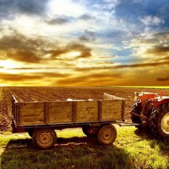 Πειραιώς: Ενισχύθηκε ο δείκτης των αγροτικών προϊόντων τον Φεβρουάριο 2026 - Επηρεάστηκε από τη θετική δυναμική στις διεθνείς κεφαλαιαγορές