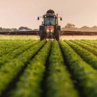 Αγροτικές ενισχύσεις: Ολοκληρώθηκε η καταβολή ποσών στους δικαιούχους