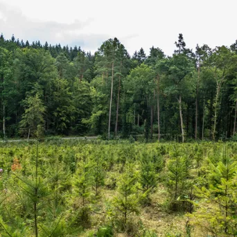 Netflix, Microsoft, Apple, Meta στη μάχη για το κλίμα