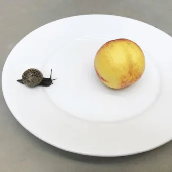 «Υou are invited»: στην έκθεση του εμβληματικού Juergen Teller και το νέο Onassis Ready