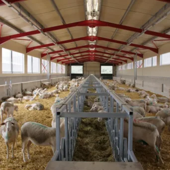 ΥΠΑΑΤ: Επιπλέον 10 εκατ. ευρώ στις Περιφέρειες για αποζημιώσεις λόγω ευλογιάς