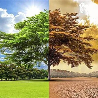 Κλιματική Κρίση και COP: ας σταθούμε μπροστά στον καθρέφτη