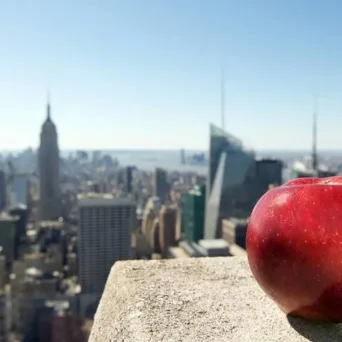 Μαμντάνι: Η οικονομική ατζέντα για το υγειονομικό σύστημα, την κλιματική αλλαγή, την εργασία & την επιχειρηματικότητα στο «Μεγάλο Μήλο»