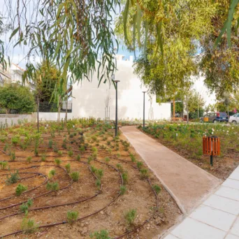 Η P&G παραδίδει το 26ο Πάρκο Τσέπης, έναν «βοτανόκηπο» με περισσότερα από 1.000 φυτά στους Αγίους Αναργύρους