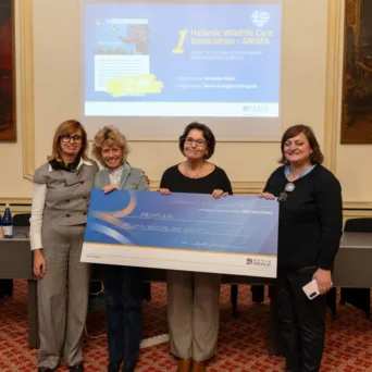 Ελληνική διάκριση στον διεθνή διαγωνισμό «Together 4 a Better World» του Ιδρύματος Reale - Οι ελληνικές συμμετοχές ήταν προτάσεις της Υδρογείου Ασφαλιστικής