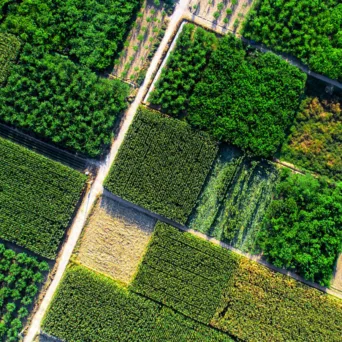 Βιώσιμη γεωργία: Η μετάβαση ξεκινά από το χωράφι