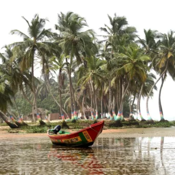 Ελληνοαφρικανικό Επιμελητήριο: Μια αναλυτική ενημέρωση γύρω από τις πιο σημαντικές εξελίξεις των αφρικανικών αγορών