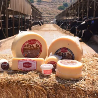 Το Τυροκομείο Πιτταρά απέσπασε άλλη μία κορυφαία διάκριση στα International Taste Awards