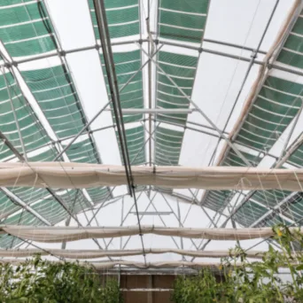 Η ελληνική καινοτομία της OET Energy Technologies: Αγροβολταϊκά που… καλλιεργούν κέρδος