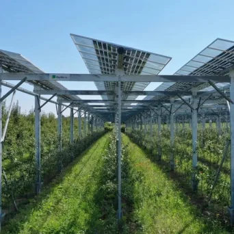 Η Πειραιώς ενισχύει τις επενδύσεις σε αγροφωτοβολταϊκούς σταθμούς