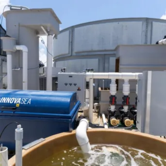 Η Innovasea ανανεώνει την εταιρική της ταυτότητα και εμπλουτίζει την ηγετική της ομάδα, η οποία θα καθοδηγήσει την εταιρεία στη νέα φάση ανάπτυξης