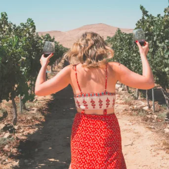 Wine on Board: Πώς να ταξιδέψουμε μαζί με μερικά μπουκάλια καλό κρασί