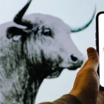 AI Agents: Θα αντέξουν οι ελληνικές επιχειρήσεις την επόμενη κυβερνοεπίθεση;