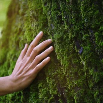 ΠΕΔΜΕΔΕ ECO: Επιτυχής ολοκλήρωση του πιλοτικού προγράμματος «Το Μυστήριο της Κυκλικής Πόλης» με τη συμμετοχή 270 μαθητών