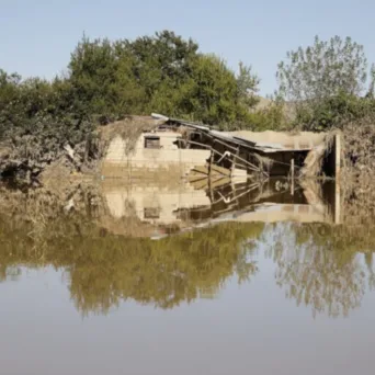 ΥΠΑΑΤ: Ενισχύσεις άνω των 67 εκατ. ευρώ για την αποκατάσταση αγροτικών εκμεταλλεύσεων που επλήγησαν από πυρκαγιές και πλημμύρες