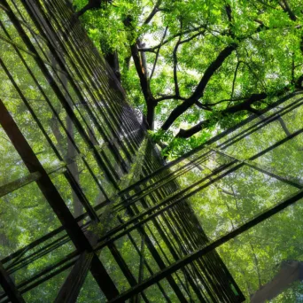 Nature-positive economy: Ένα νέο οικονομικό μοντέλο ανατέλλει