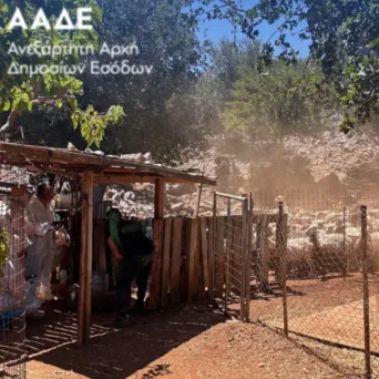 ΑΑΔΕ: Διενεργήθηκε ο πρώτος μαζικός επιτόπιος έλεγχος για αγροτικές επιδοτήσεις