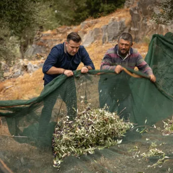 Από τη Λέσβο στην υψηλή γαστρονομία της Γερμανίας: Το ταξίδι της Jordan Olivenöl