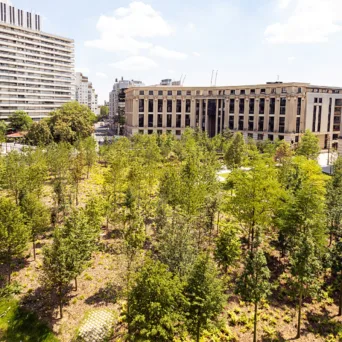 Στον δρόμο με τα κουκούτσια