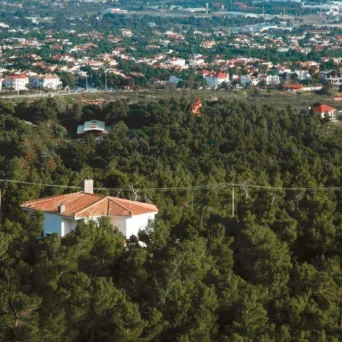 Στα «αζήτητα» το 87% των καταπατημένων εκτάσεων του Δημοσίου