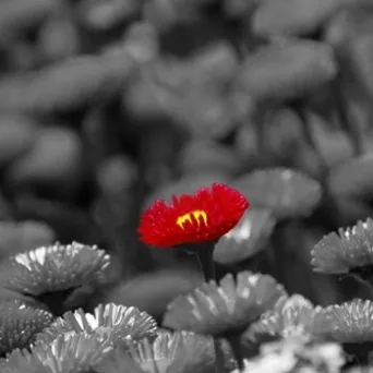 Ενισχύστε τη δύναμη της επιχείρησής σας μέσα από την εικόνα του εαυτού σας