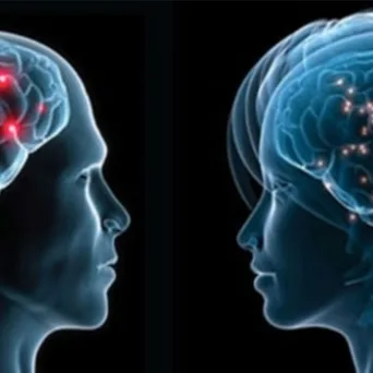 Συμβουλές επικοινωνίας δια χειρός Neuromarketing