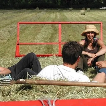 Η συνέργεια ως στρατηγική ανάπτυξης αγροδιατροφικών επιχειρήσεων