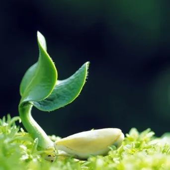 Early Stage Startups: Οδηγίες Προς Ναυτιλλομένους