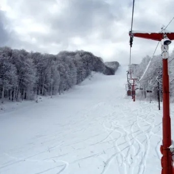 Χιονοδρομικά Κέντρα και Επιχειρηματικότητα
