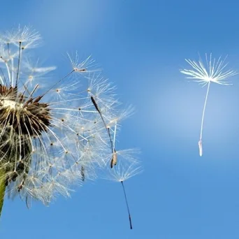 Νέα επενεδυτικά εργαλεία για την επανεκκίνηση της οικονομίας